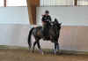 uebGalopp Bild Fidan.jpg (236031 Byte)