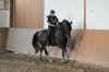 uebVersammelt Galopp Bild Fidan.jpg (263630 Byte)